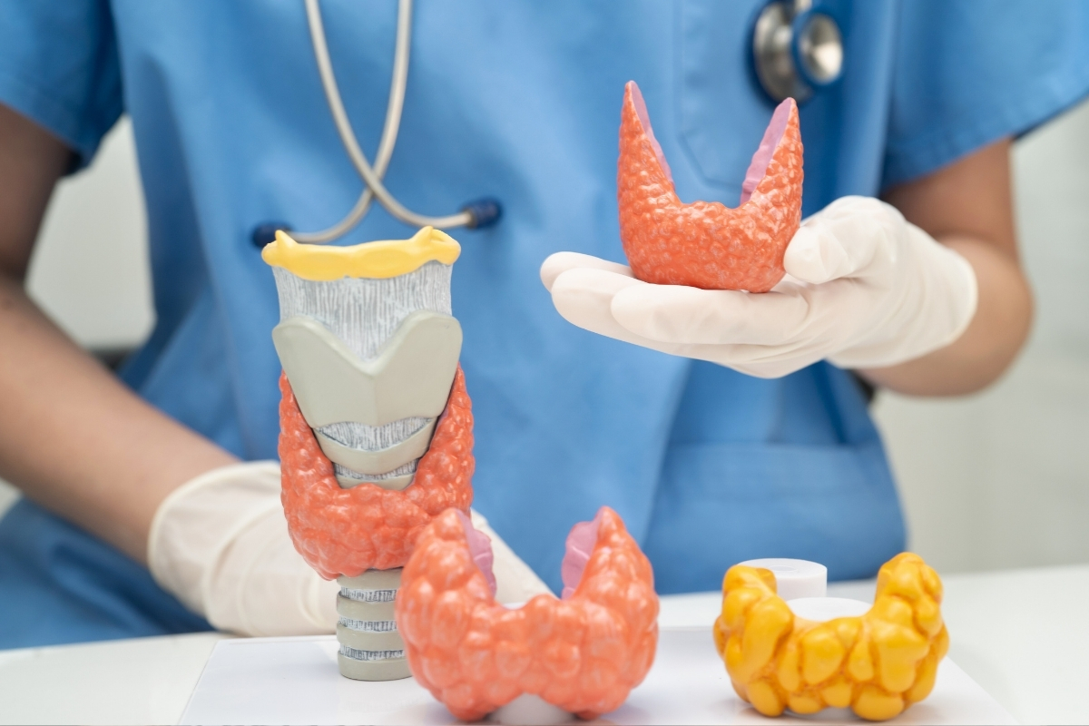 Common Thyroid Conditions We See